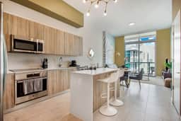 Beautiful 1 Bdrm PH Condo, Miami Design District - Image 4